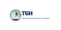 Techy Geek Hub (TGH) – Tech consultancy offering IT solutions and digital transformation services